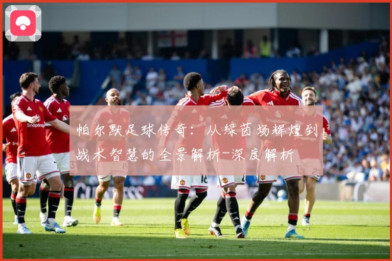 帕尔默足球传奇：从绿茵场辉煌到战术智慧的全景解析-深度解析